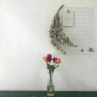 凡人修仙传手游官方下载